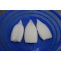Gefrorene Gigas -Tintenfischröhrenriesen -Tintenfischrohr